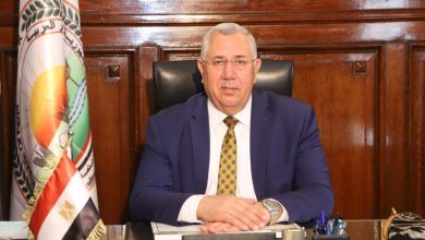 السيد القصير وزير الزراعة المصرية