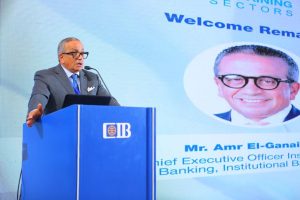 عمرو الجنايني الرئيس التنفيذي للقطاع المؤسسي ببنك CIB
