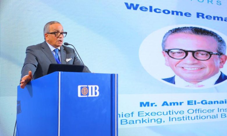 عمرو الجنايني الرئيس التنفيذي للقطاع المؤسسي ببنك CIB