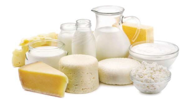 تراجع أسعار البيض واستقرار الألبان في الأسواق اليوم