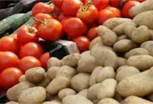 أسعار الفاكهة والخضار اليوم