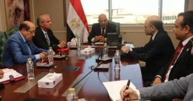 وزير الكهرباء يجتمع مع خبراء لإنشاء مجمع صناعى لإنتاج الكاولين والجلوكونيت
