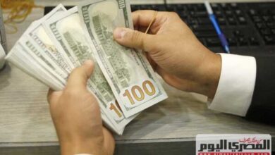سعر الدولار
