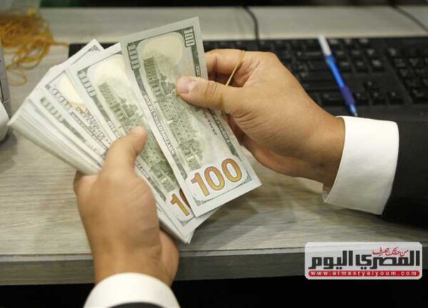 سعر الدولار