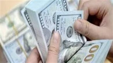 هدوء فى سوق الصرف.. الدولار مستقر لليوم الرابع على التوالى