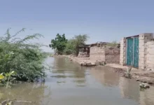 مصر تتحدث عن دور إثيوبيا في فيضانات السودان