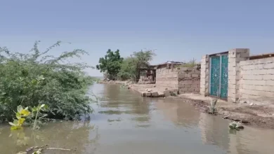 مصر تتحدث عن دور إثيوبيا في فيضانات السودان