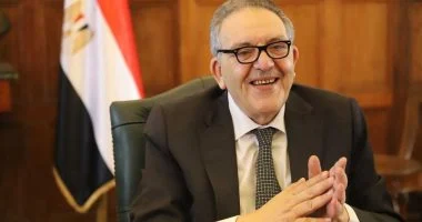 أحمد الوكيل: الرئيس عبد الفتاح السيسي أكد حتمية الشراكة مع الجزائر