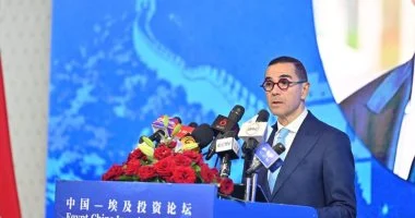 وزير الاستثمار