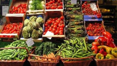أسعار الخضروات والفاكهة اليوم