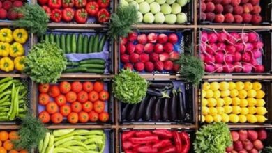 أسعار الخضراوات والفاكهة اليوم