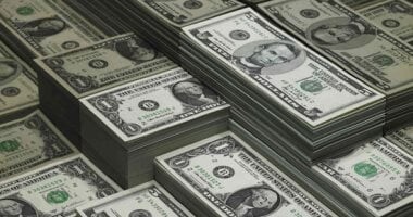 سعر الدولار اليوم