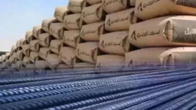 حديد وأسمنت