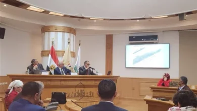 سيناء أرض الفيروز.. ندوة بالأعلى للثقافة لاستعراض تاريخها الاستراتيجي